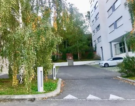 Bright Spacious And Modern With Terrace 洛桑