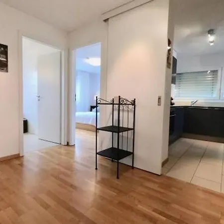 Bright Spacious And Modern With Terrace Lozanna