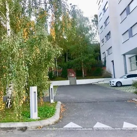 Bright Spacious And Modern With Terrace Apartament Lozanna